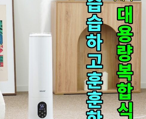 가격 대비 가장 좋은 h20n 사용 후기