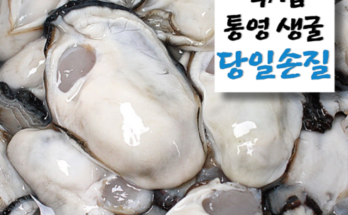 리뷰가 검증한 통영생굴깐굴세척1kg 인기 아이템 추천 8가지 (실사용 후기)