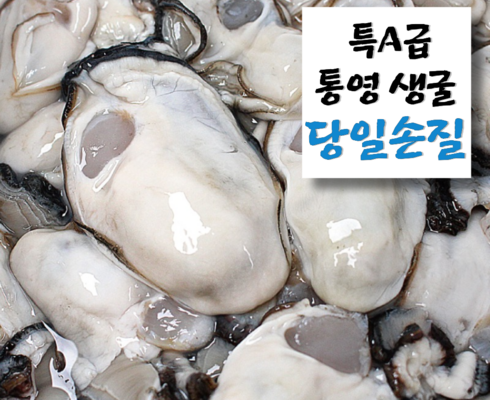 리뷰가 검증한 통영생굴깐굴세척1kg 인기 아이템 추천 8가지 (실사용 후기)