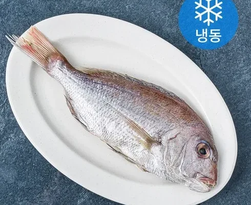 솔직 리뷰  국내산 반건조 참돔 300g7마리 사용 후기