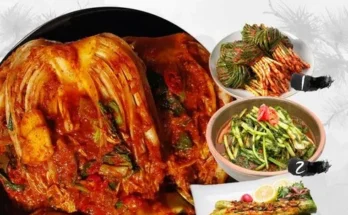 2024년 최저가 도미솔김치 4종 리뷰 베스트 8 인기 상품
