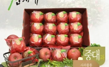 2024년 업데이트 산지애 사과 5.4kg 인기 아이템 추천 8가지 (실사용 후기)