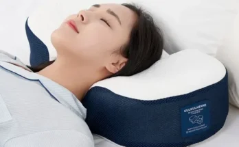 지금 지나가면 없을 가격 전현무 베개 BEST8 추천 제품 후기 지금 지나가면 없을 가격 전현무 베개 BEST8 추천 제품 후기